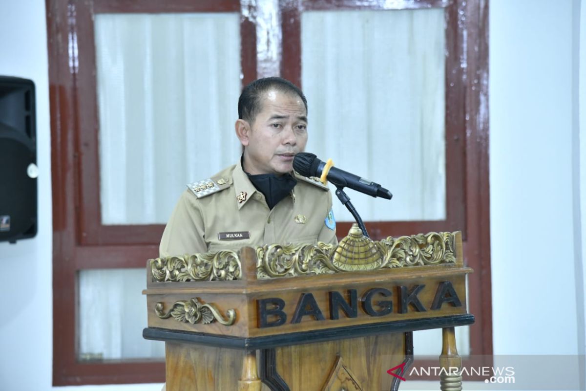 Bupati Bangka apresiasi penyaluran BLT DD berjalan lancar