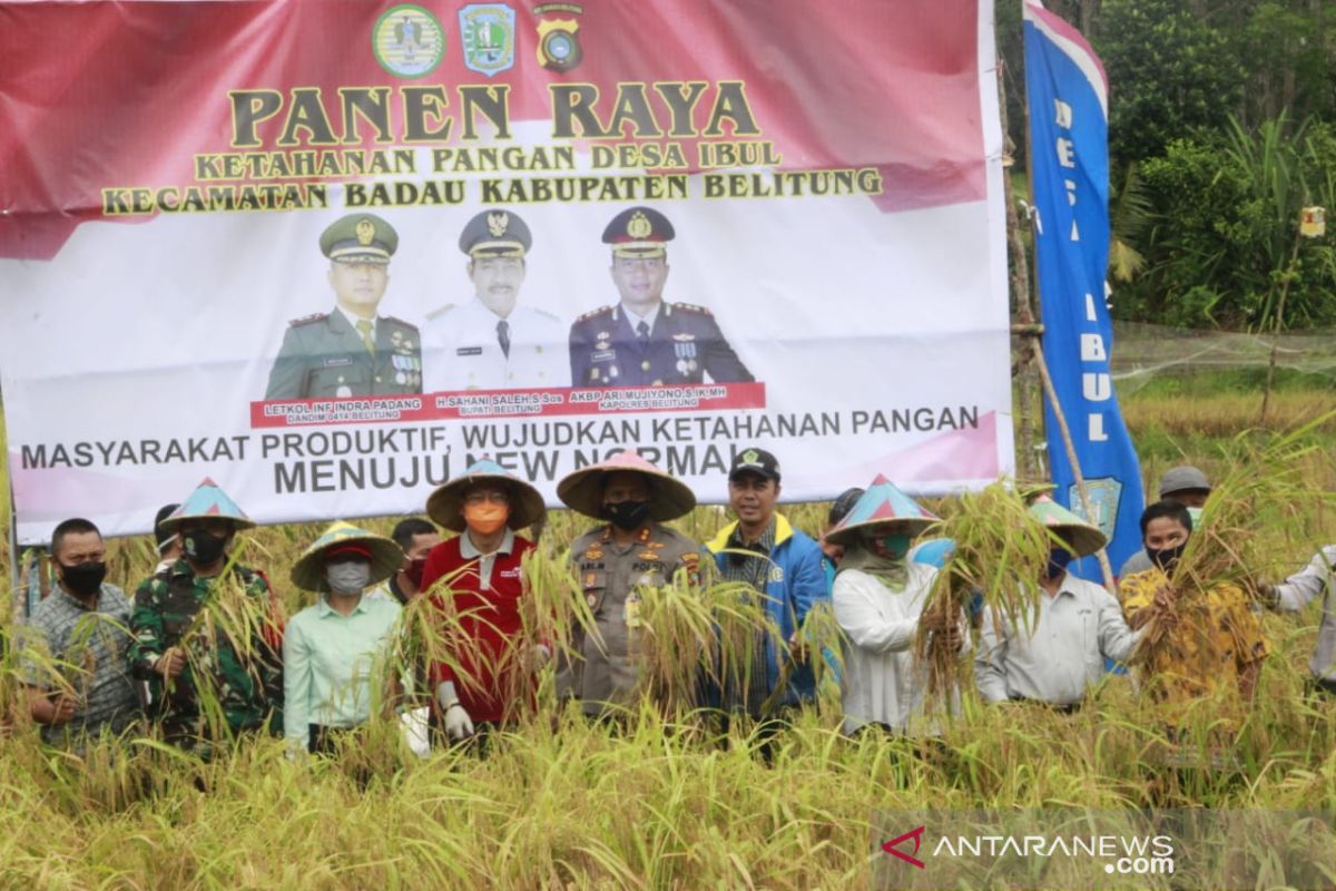 Pemkab Belitung susun strategi wujudkan kemandirian pangan