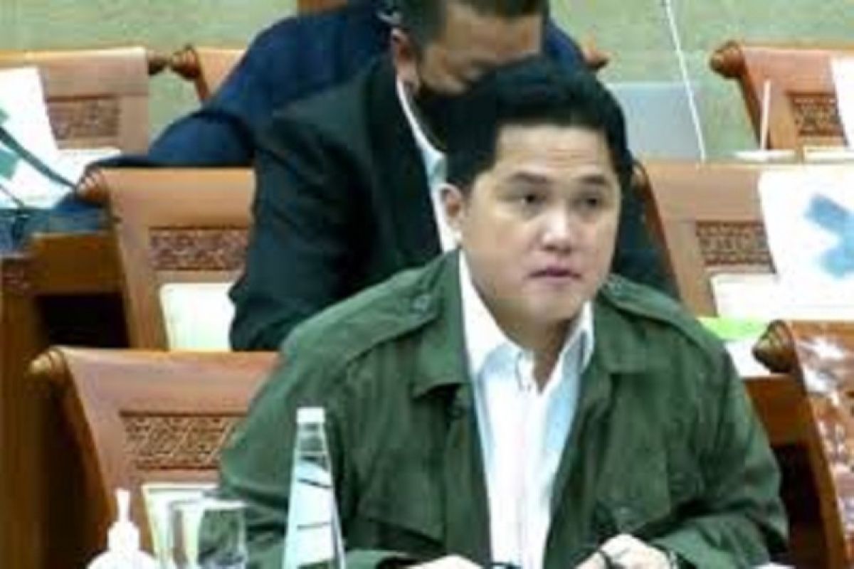 Erick Thohir paparkan rencana penggunaan PMN BUMN untuk pemulihan ekonomi