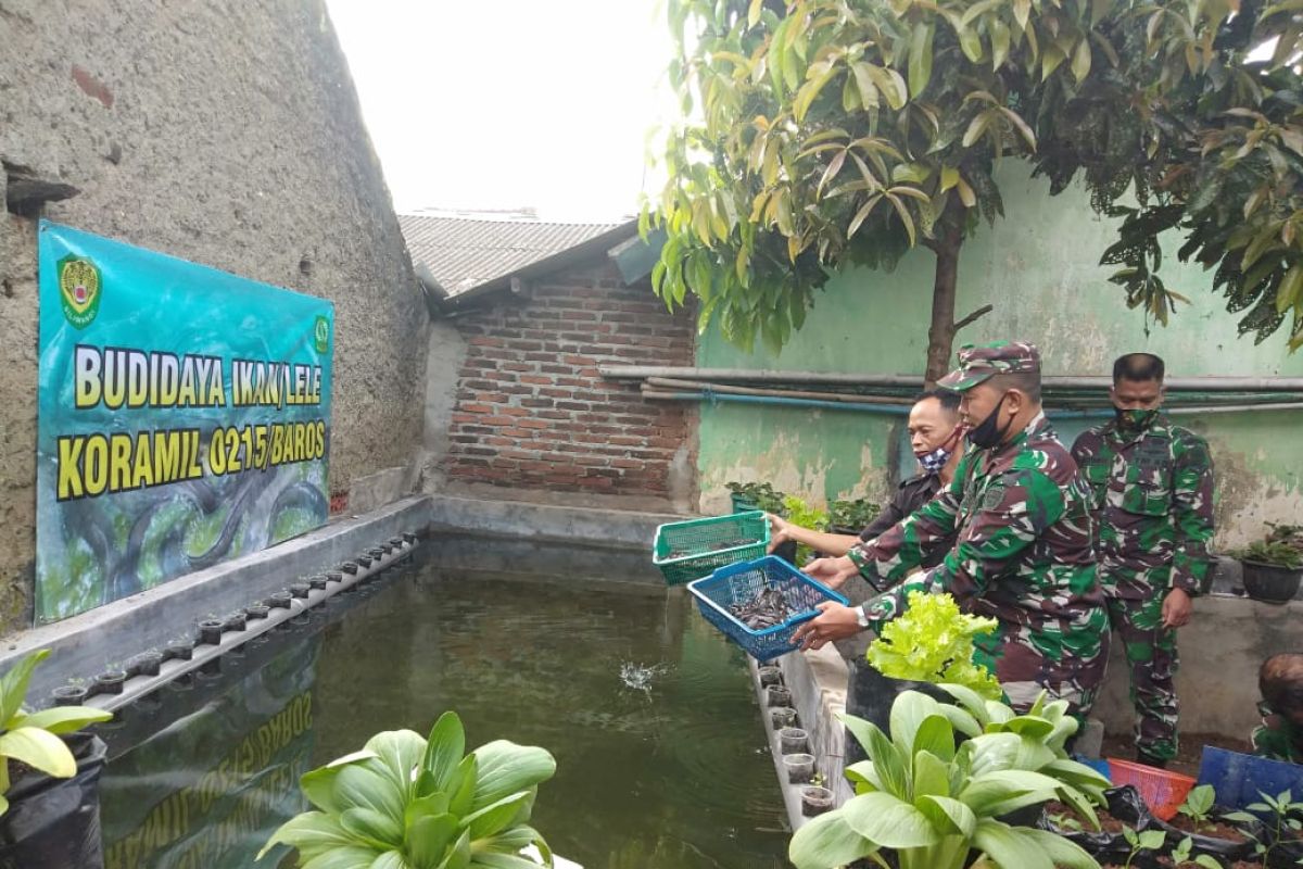 Di tengah pandemi COVID-19, prajurit TNI kembangkan budidaya lele