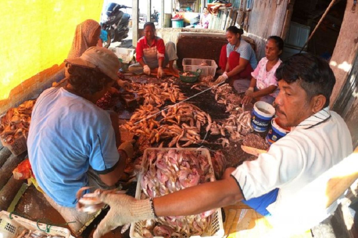 Pengrajin ikan asin gulamah  di Tanjabtim