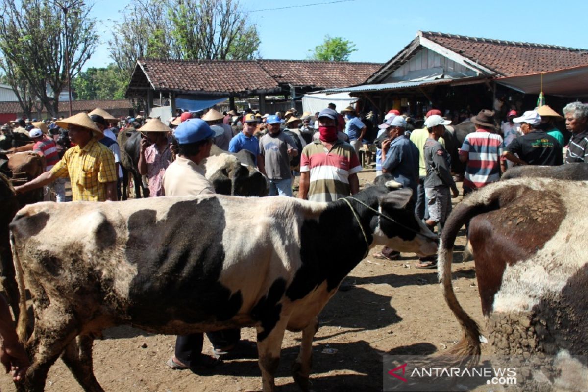 Perdagangan hewan kurban di Boyolali mulai meningkat di tengah pandemi