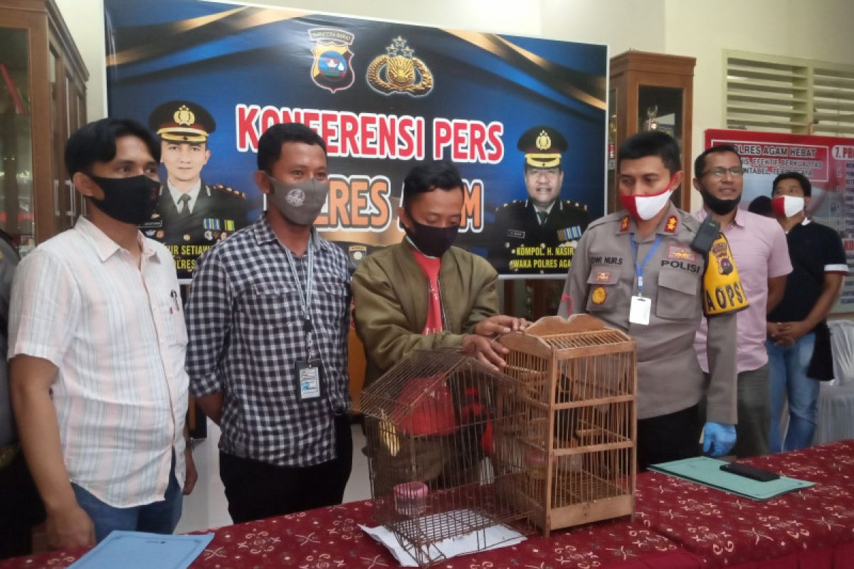 Guru honorer ditangkap polisi usai jual burung dilindungi via facebook