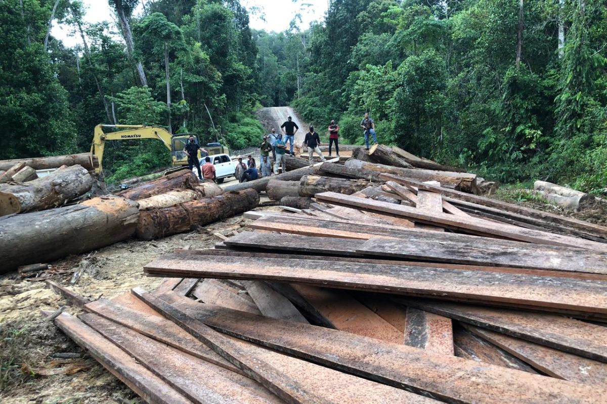 Polisi tangkap dua pembalak liar dan barang bukti escavator di Aceh Jaya