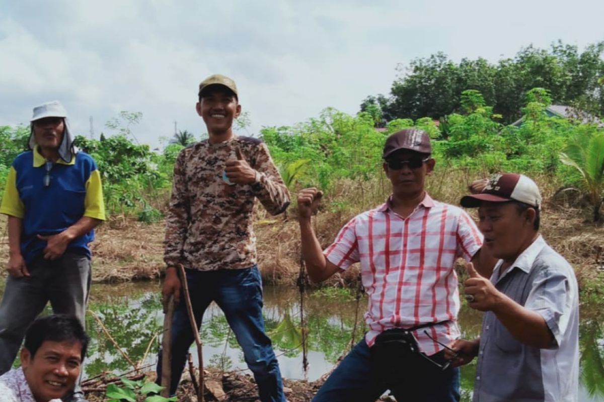Komunitas Pohon Indonesia OKU tanam  ratusan bibit pohon