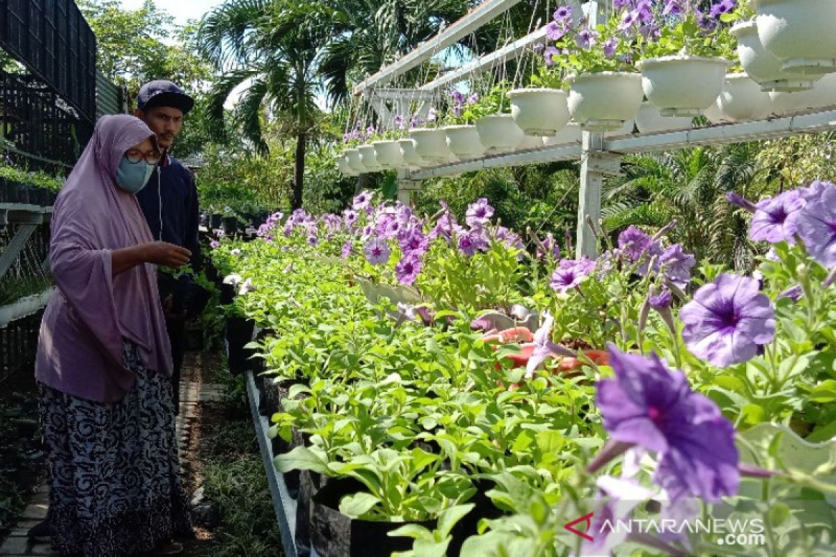 Psikolog: Berkebun selama pandemi dapat menstabilkan suasana hati