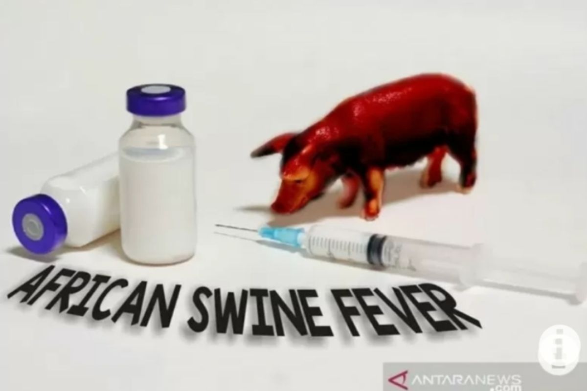 Dispernak Bandarlampung edukasi pedagang tentang bahaya virus flu babi