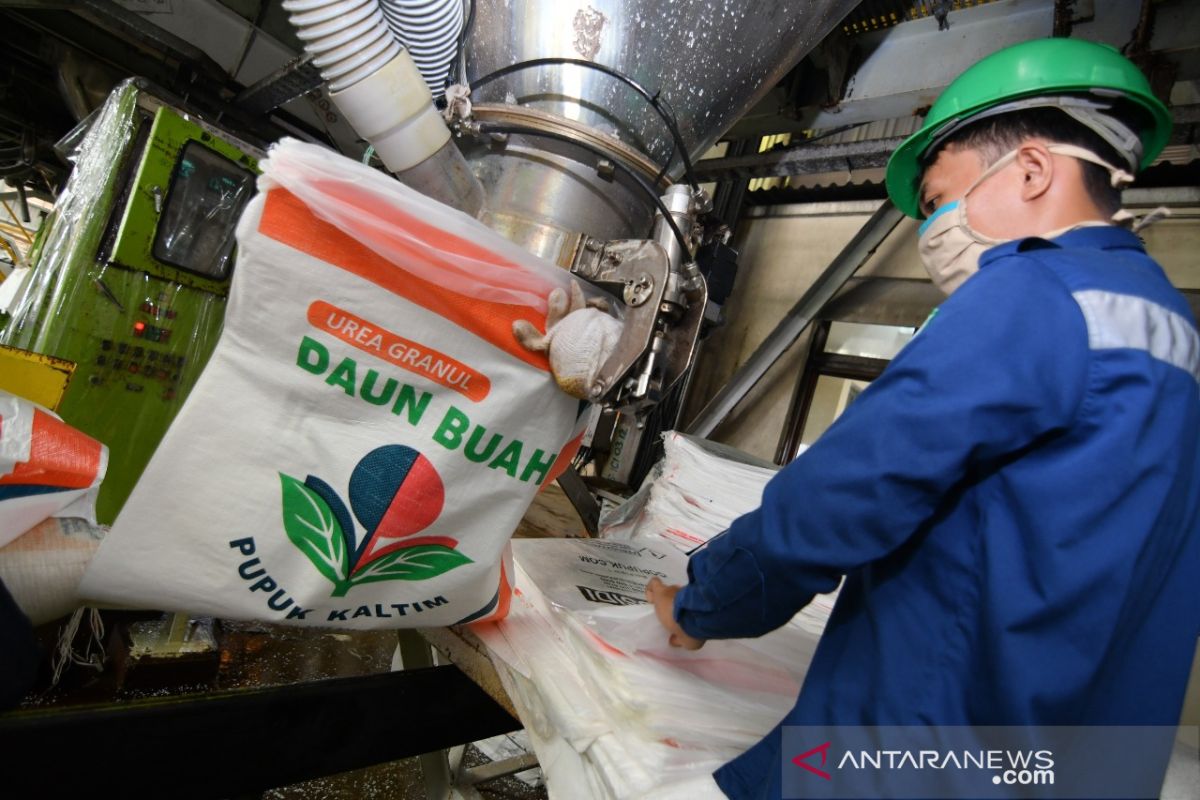 PT Pupuk Kaltim siap salurkan pupuk "Daun Buah" untuk 1.078 mitra di Sulsel