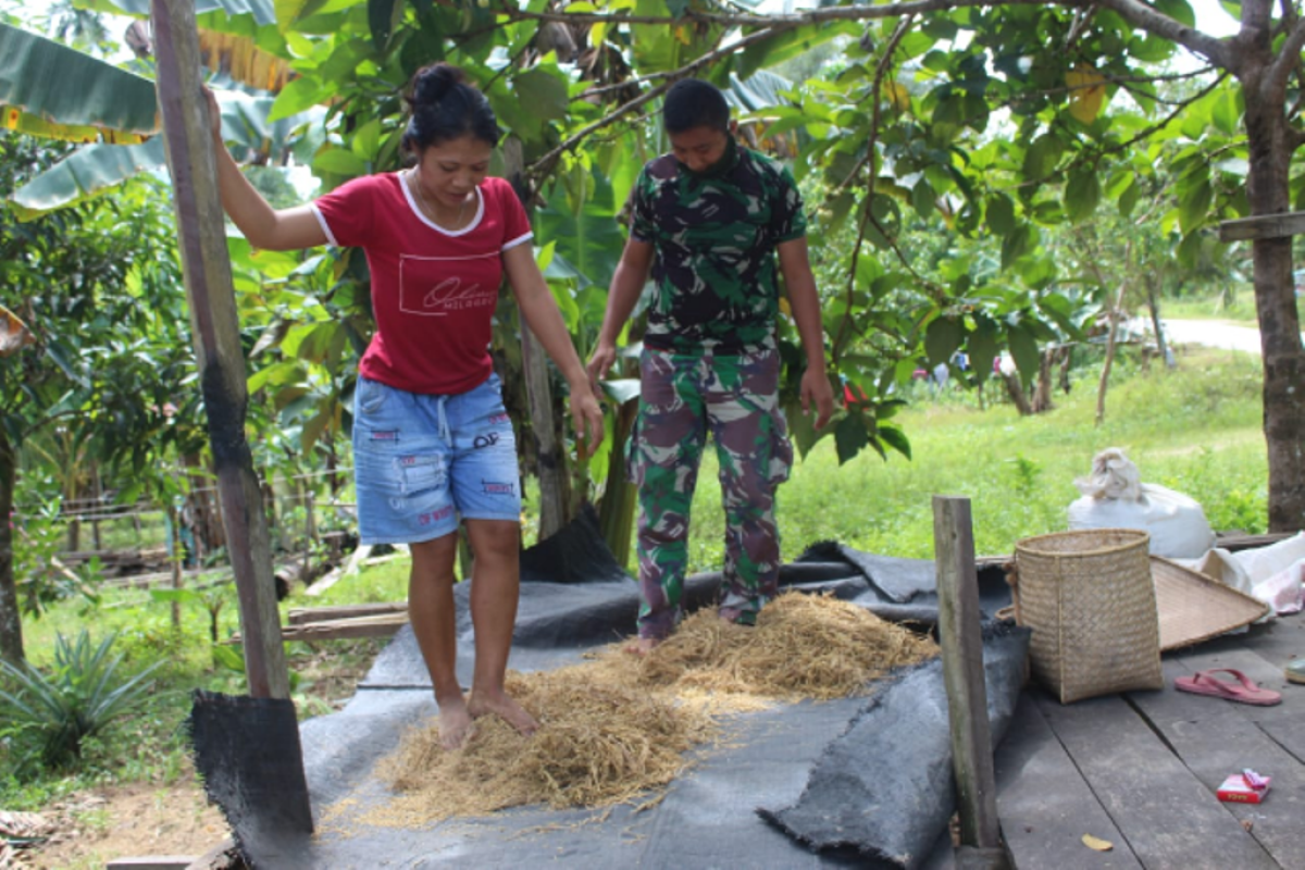 Anggota TMMD bantu warga merontok padi