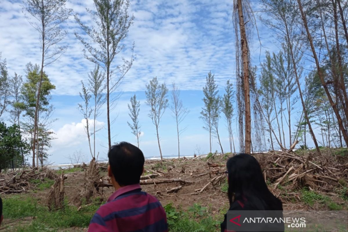 Soal TWA Pantai Panjang, DPRD Kota Bengkulu kaji perizinan PT NAB