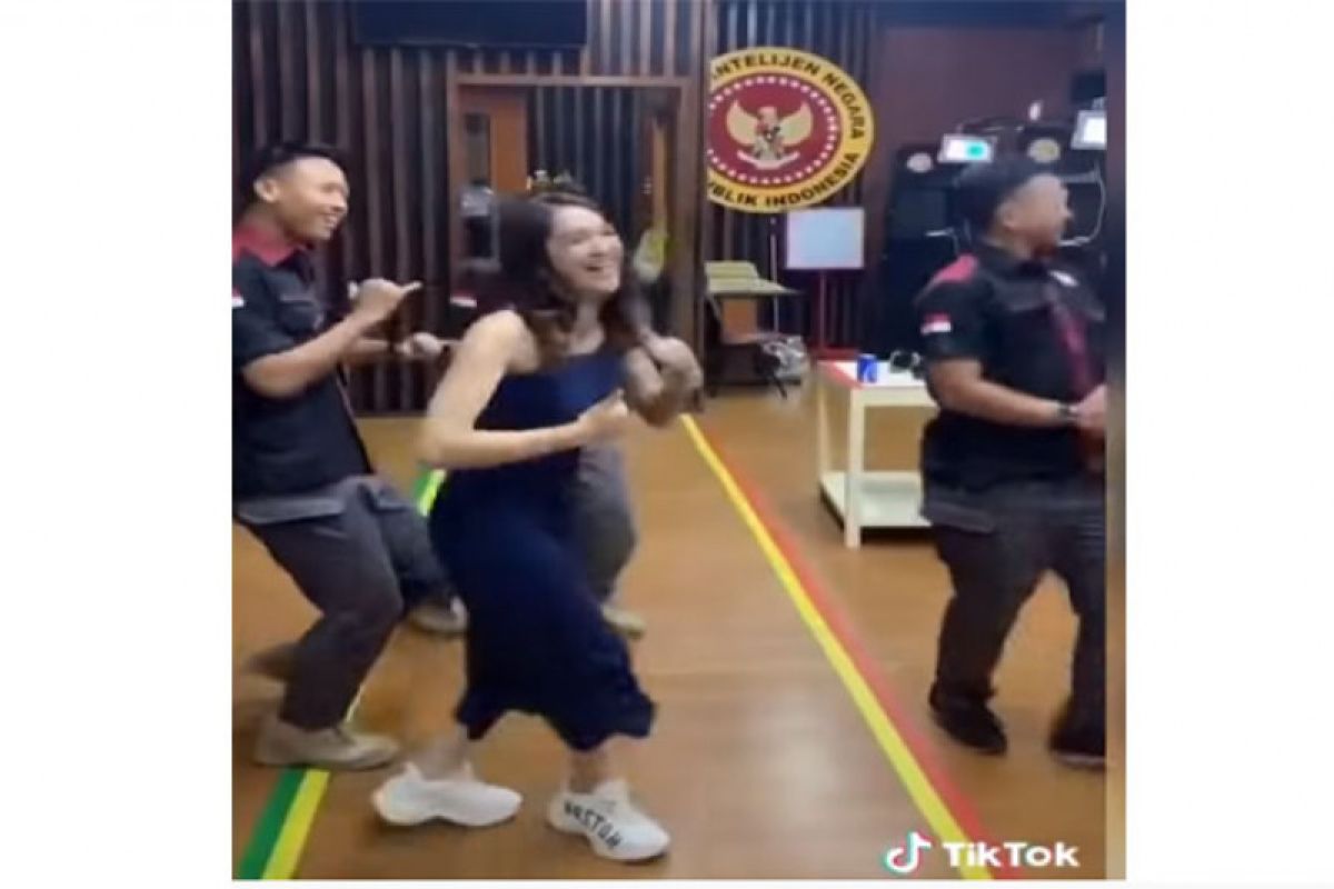 Hoaks, Hana Hanifah bikin video TikTok di kantor BIN?