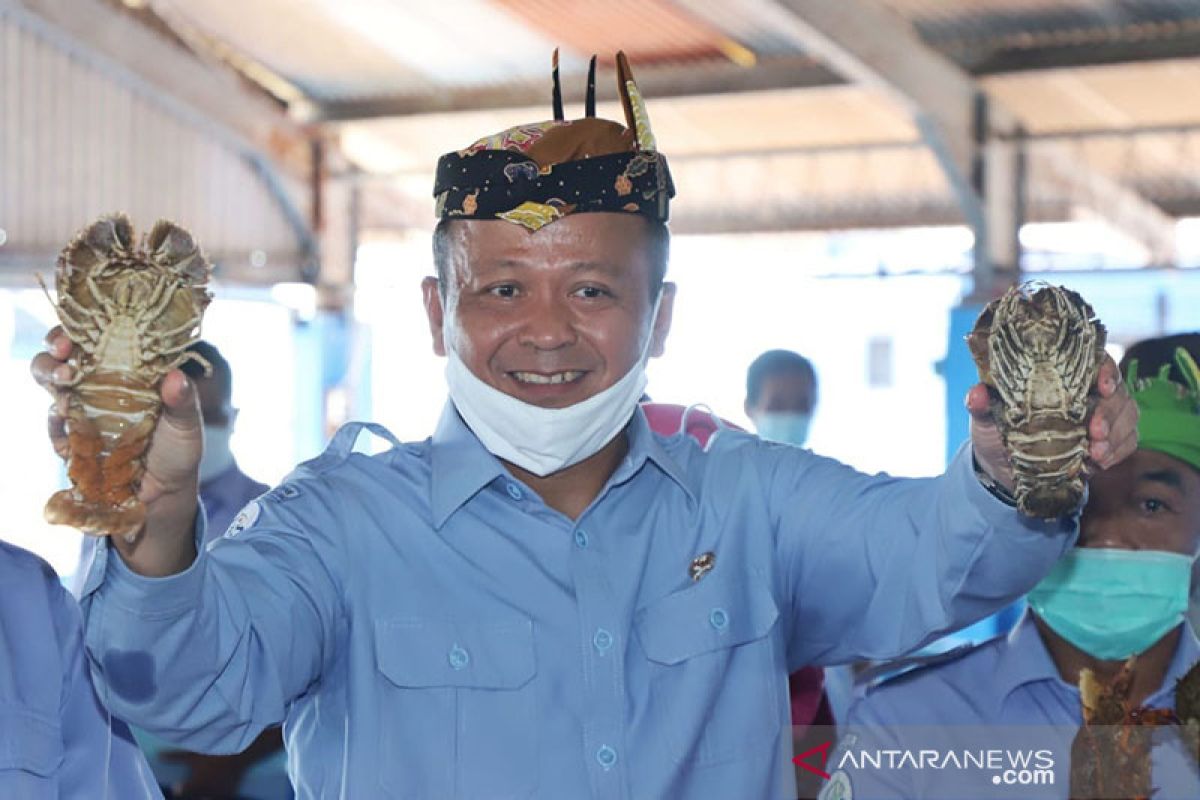 Edhy Prabowo sebut lumbung ikan nasional di Maluku bukan hanya simbol