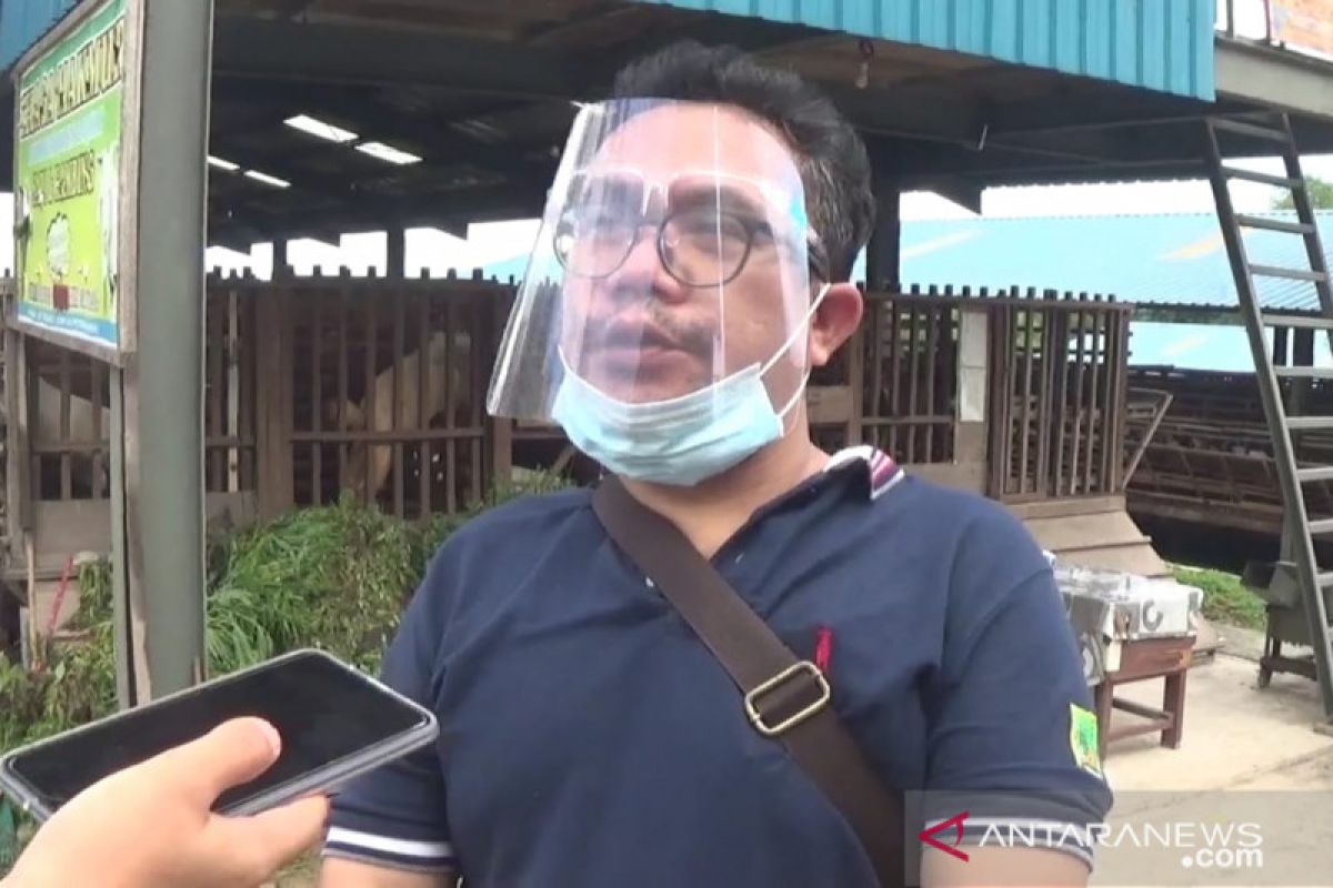 Cegah flu babi, Pemkot Batam kontrol kesehatan babi di Pulau Bulan
