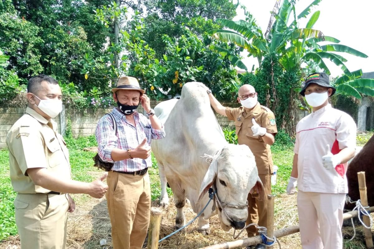 Pemkot Sukabumi pastikan hewan kurban di lapak pedagang  dalam kondisi sehat