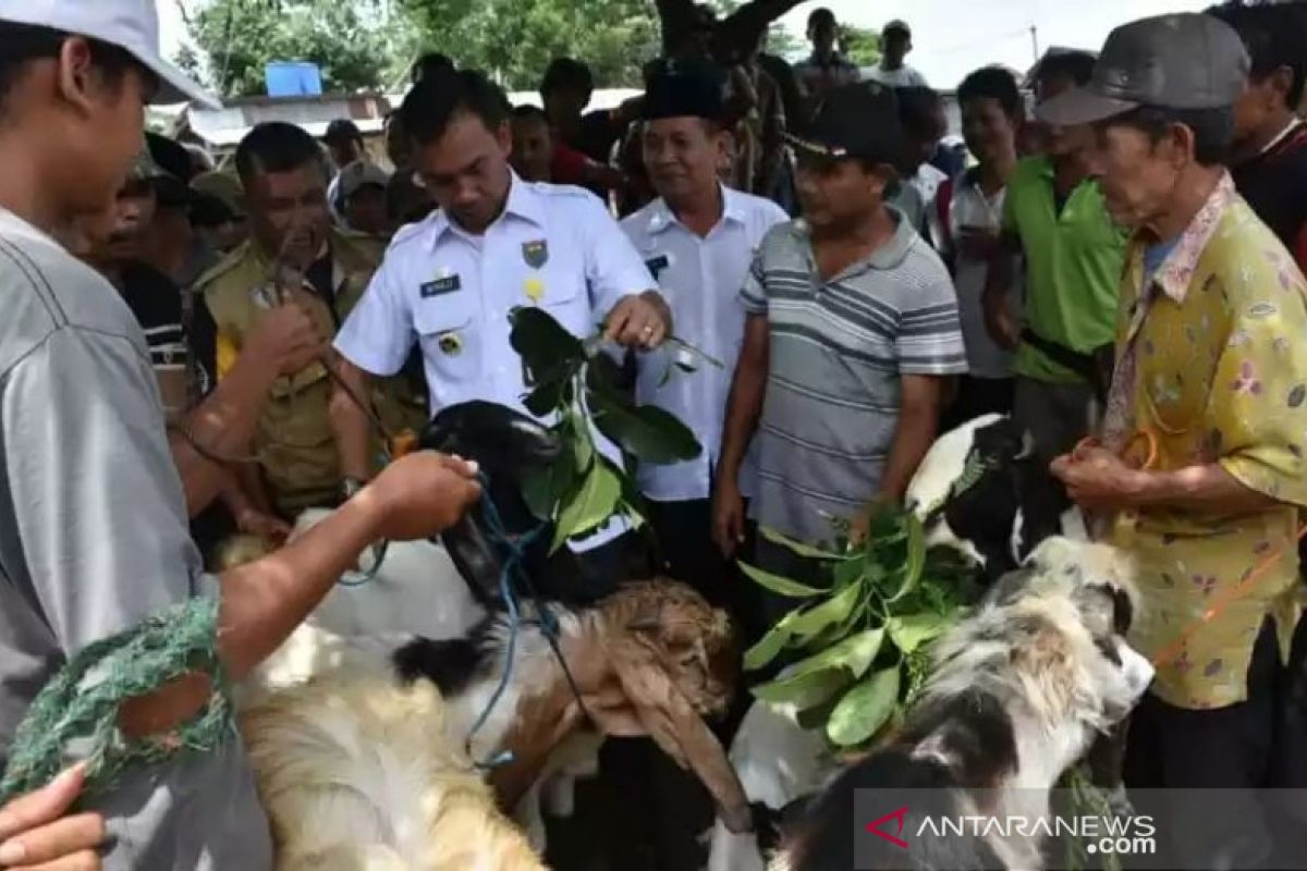 Batang wajibkan pedagang hewan kurban ber-SKKH