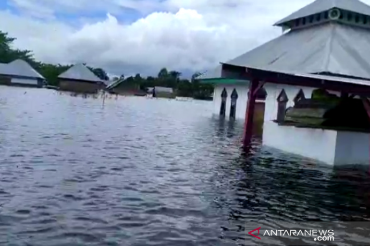 Flash flood affects 2,281 households in SE Sulawesi's 14 sub-districts
