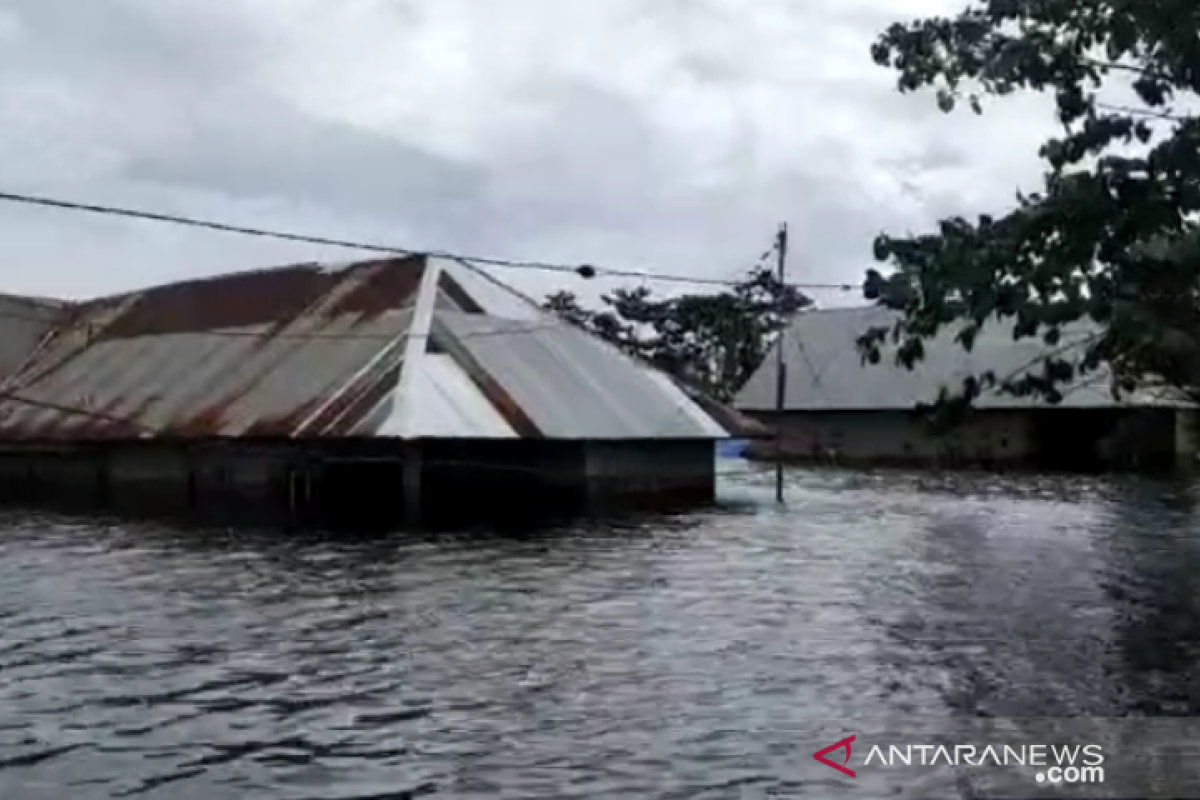 Banjir di Konawe rendam rumah warga hingga setinggi atap, ribuan warga mengungsi