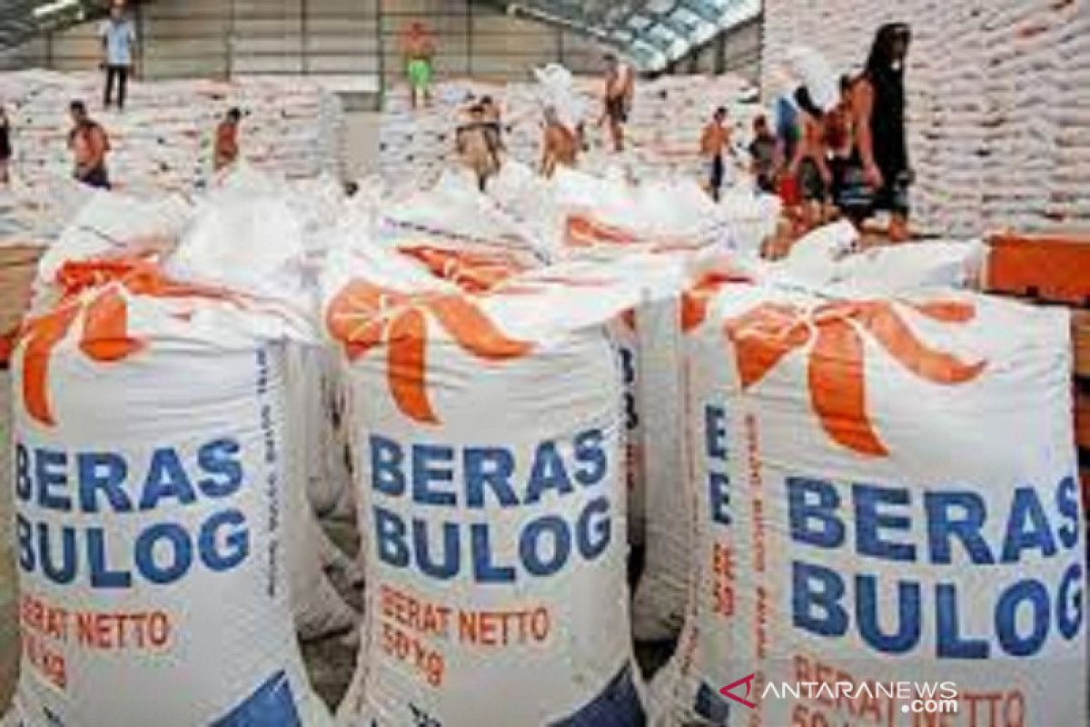 Bulog Sumut: Pembelian beras petani 171 persen dari target