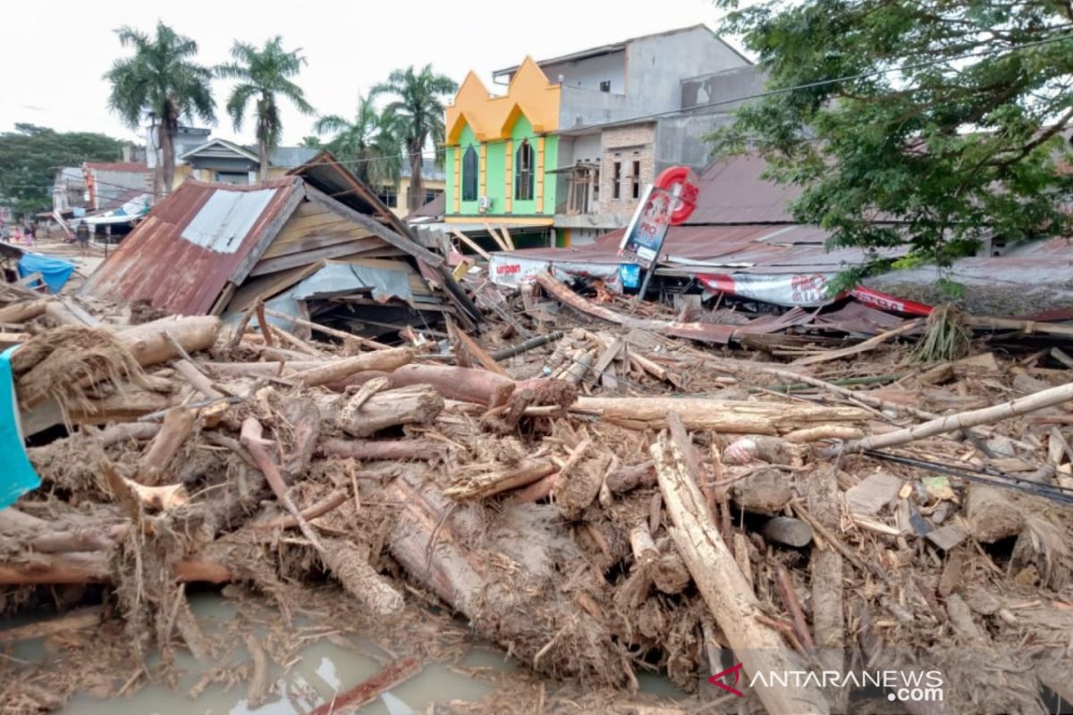 KLHK : Pemulihan lahan terbuka di bagian hulu atasi banjir di Luwu Utara