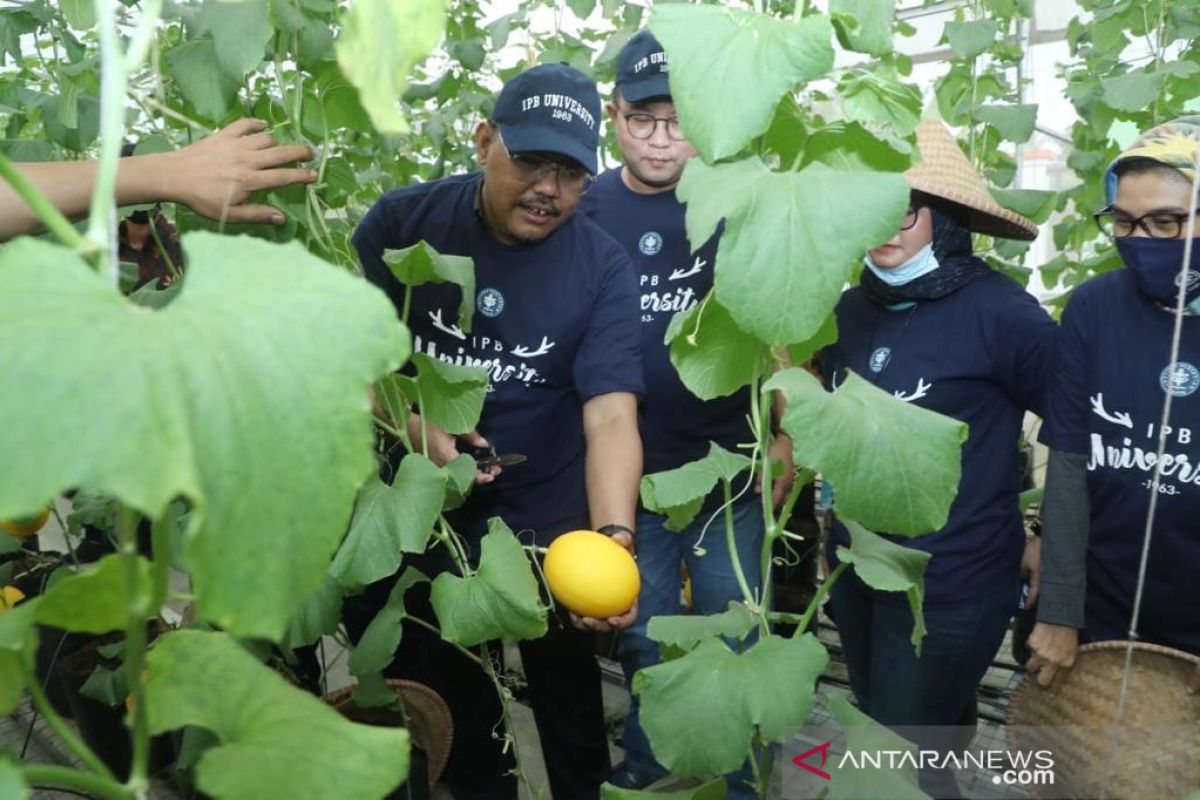 Kagum teknologi pertanian IPB, Gus Jazil ajak milenial turun bertani