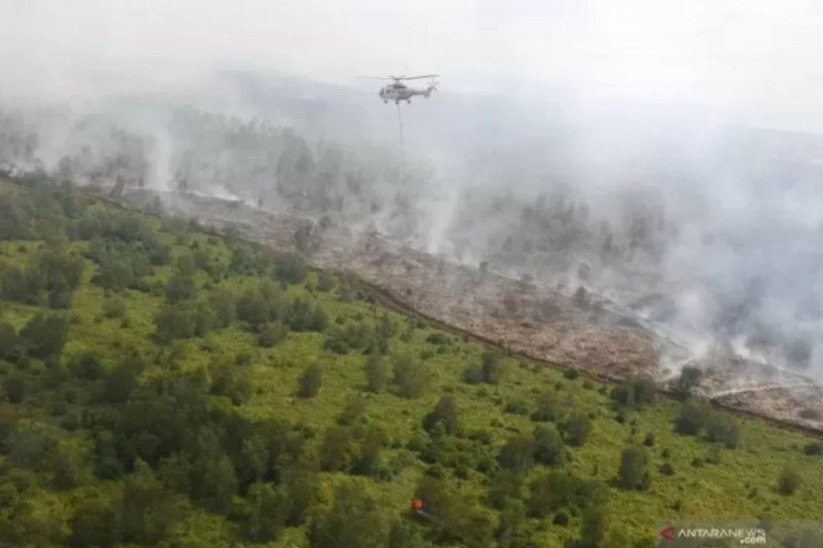 Dishut Sumsel andalkan kelompok pengelolaan hutan cegah karhutla