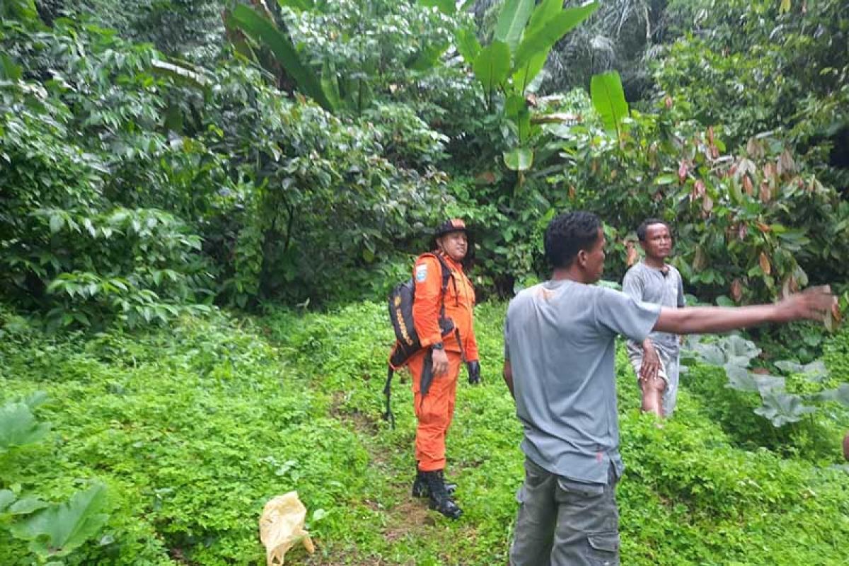 Penebang pohon dilaporkan hilang di hutan Aceh Tenggara
