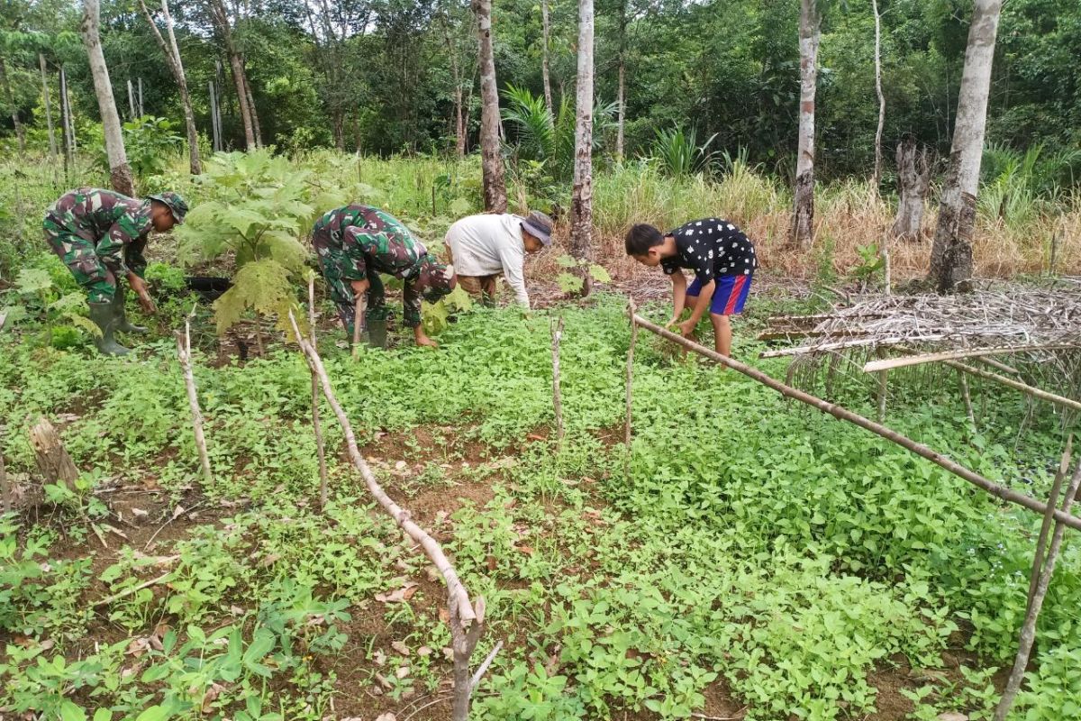 Kepedulian Anggota TMMD bantu petani bersihkan kebun