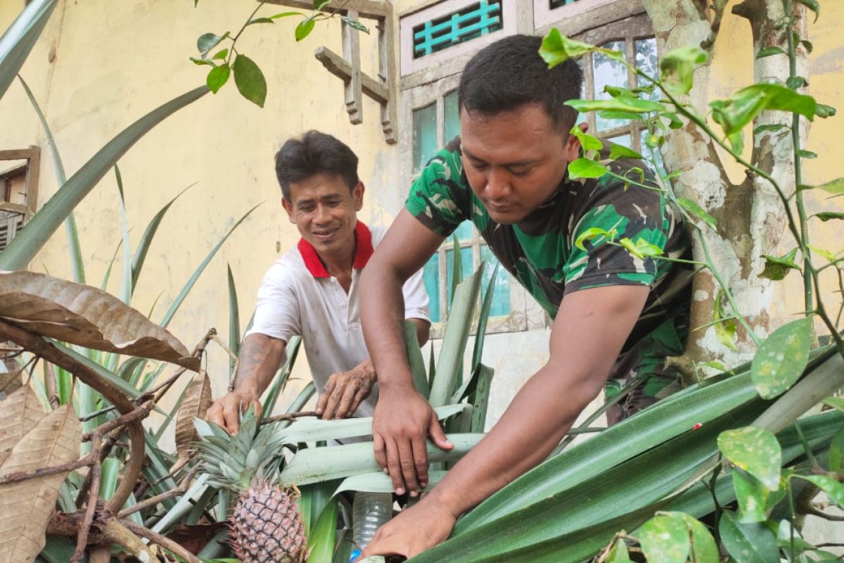 Warga hidangkan buah nanas bagi anggota TMMD 108