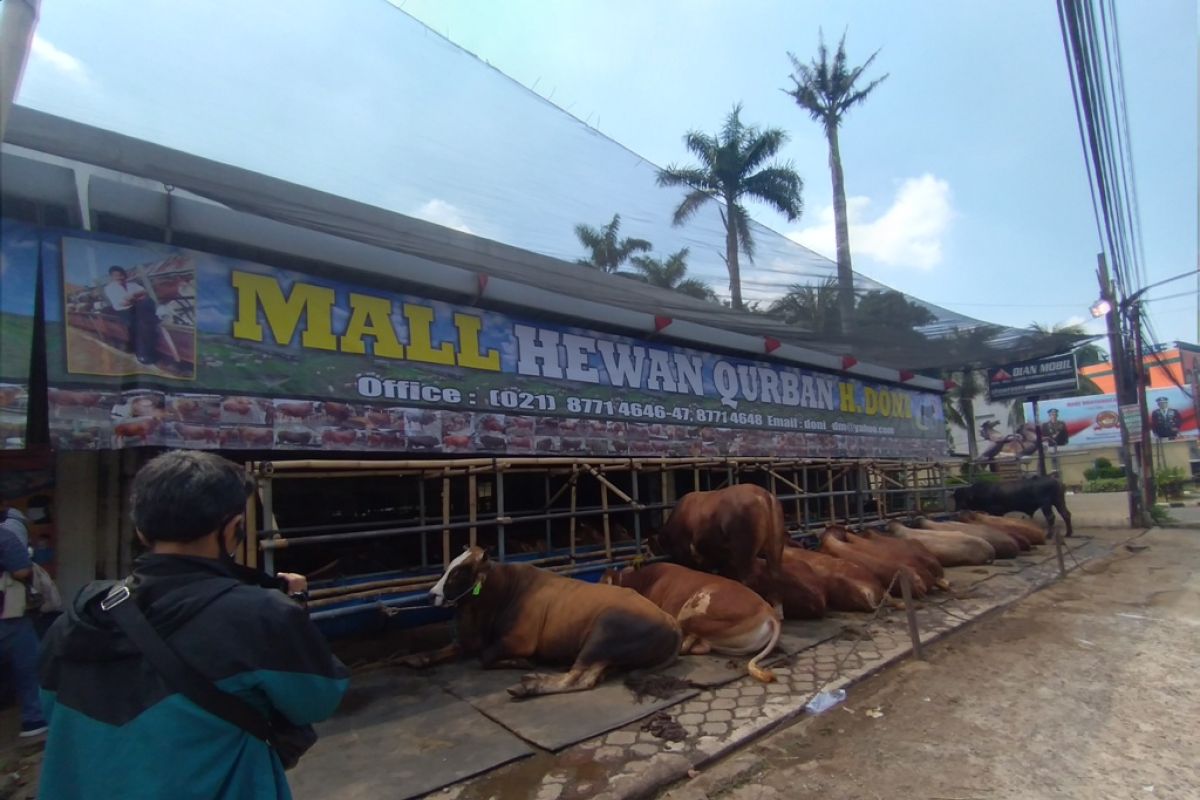 Pemkot Depok tetapkan standar penanganan limbah hewan kurban