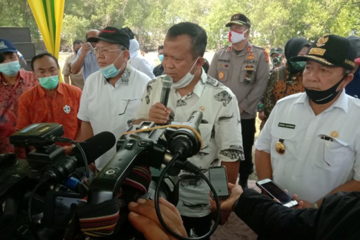 Menteri KP sebut saat pandemi corona kesempatan merebut pasar udang dunia