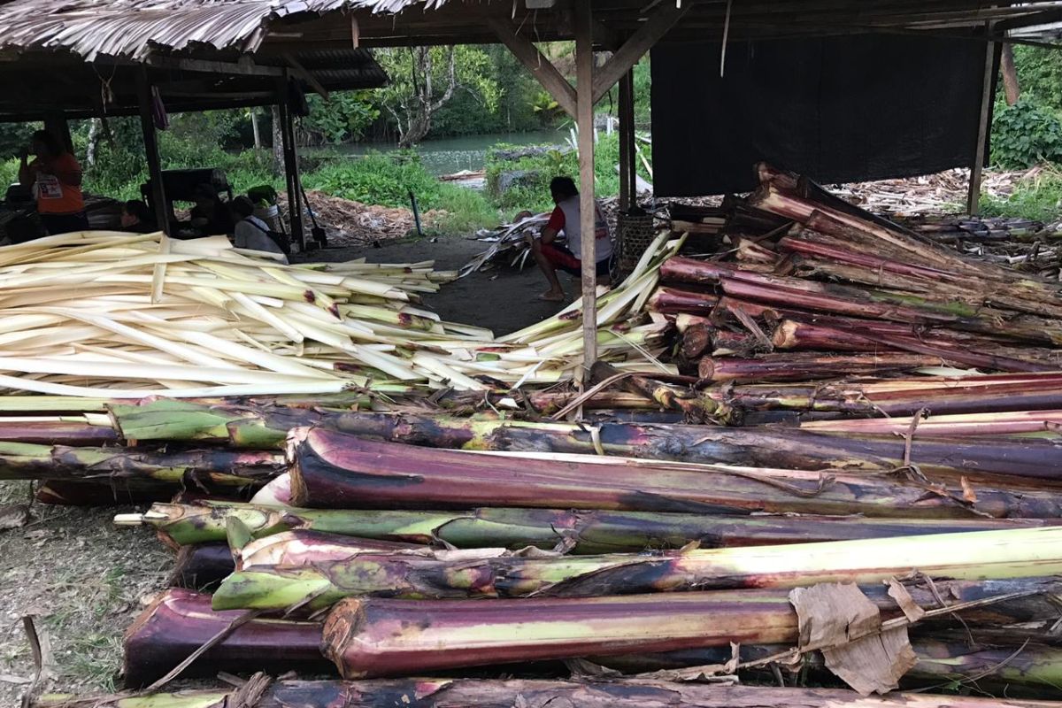 Badan Karantina Pertanian dorong ragam produk ekspor di Sulut