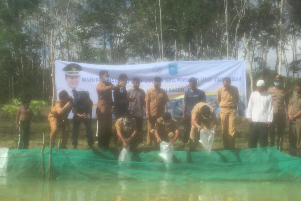 Produksi ikan air tawar di Bangka Tengah capai 1.400 ton