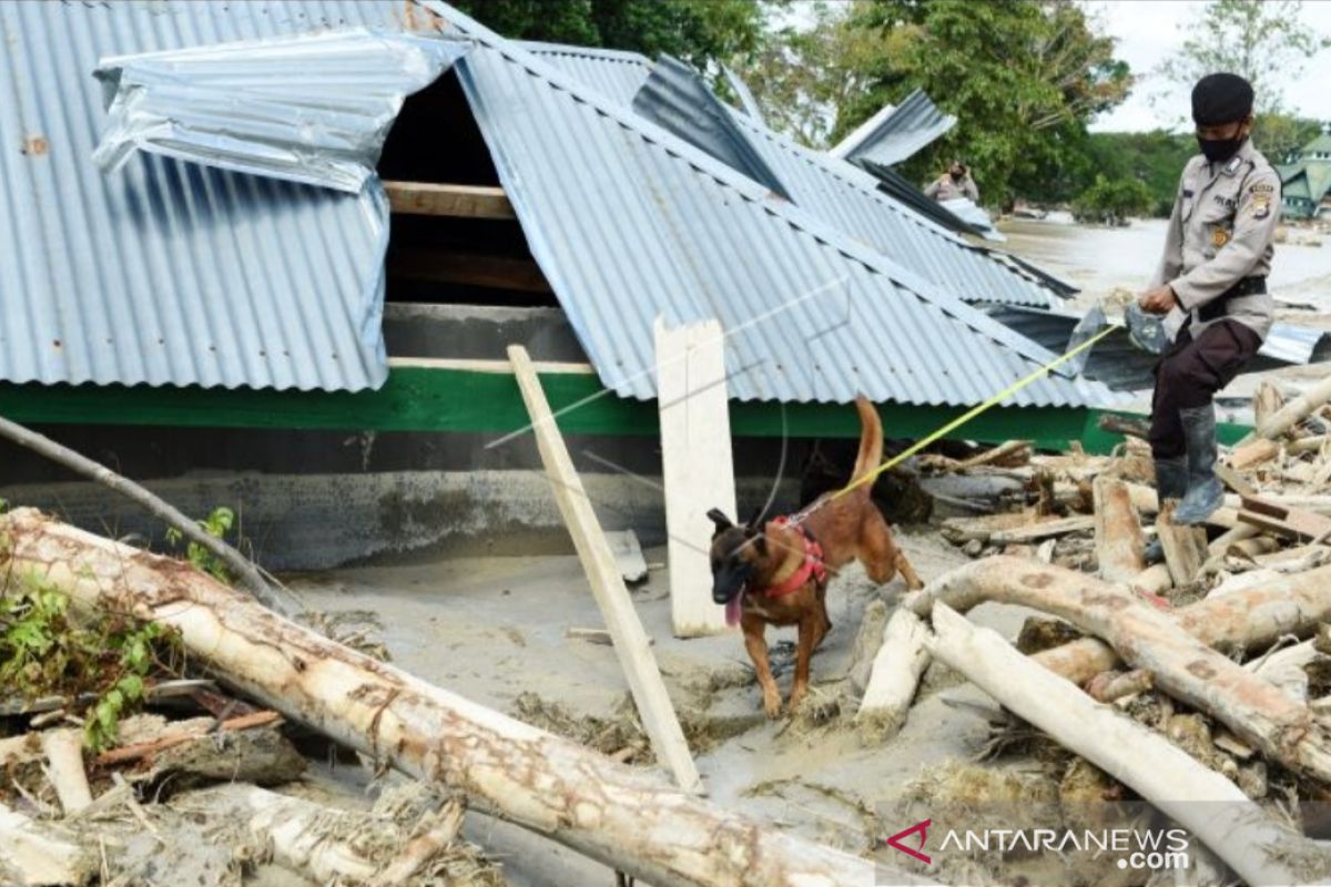 10 korban banjir bandang Luwu Utara belum ditemukan