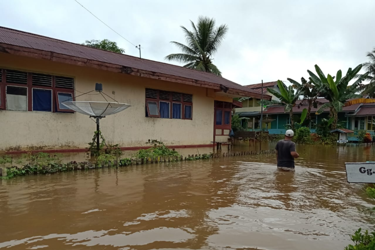 301 rumah warga pesisir sungai di Kapuas Hulu terendam banjir