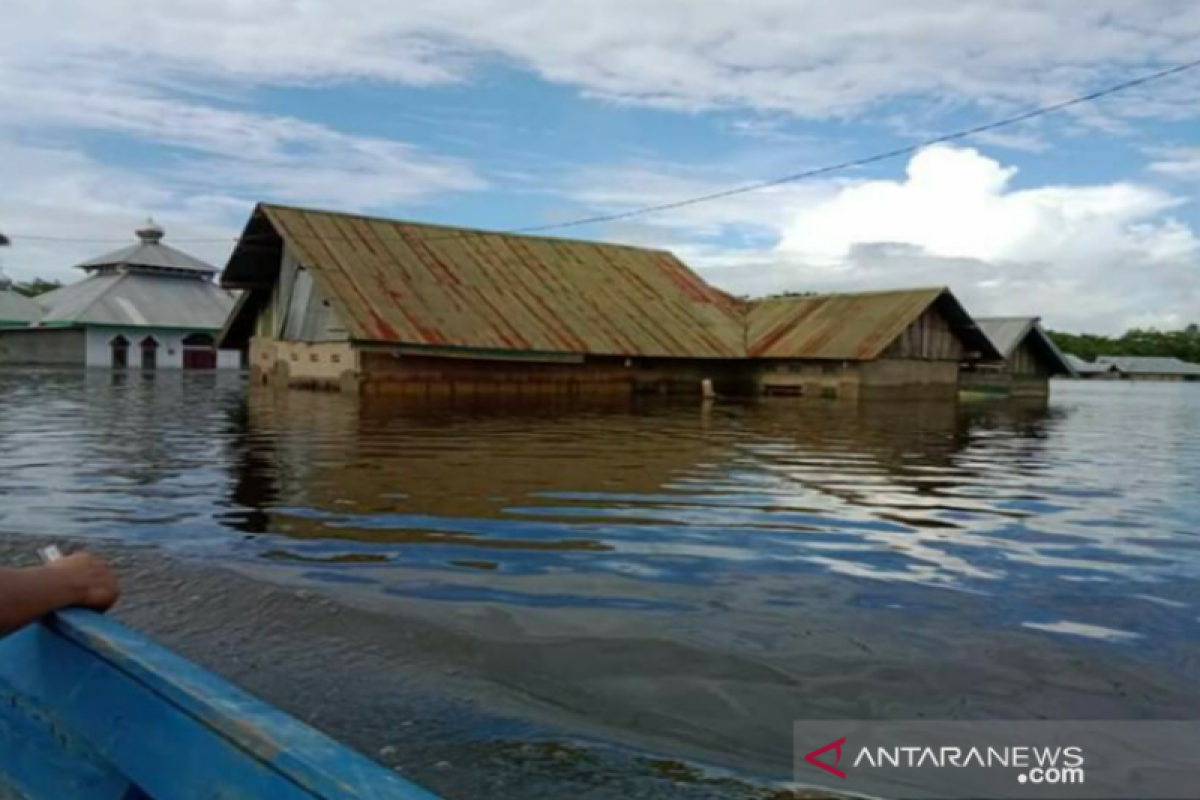 Banjir di Konawe meluas ke 62 desa