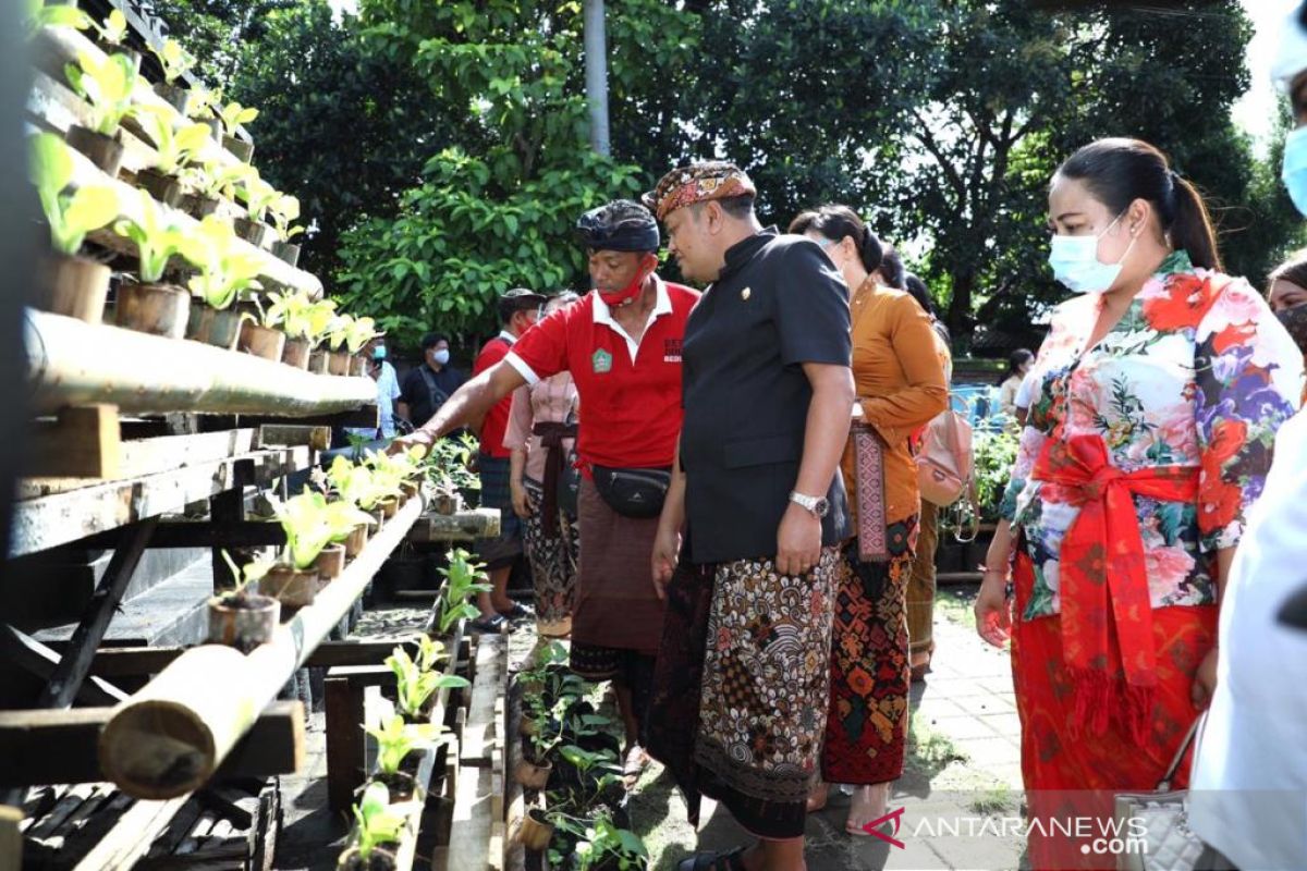 Bupati Gianyar dorong usaha pertanian di lahan rumah