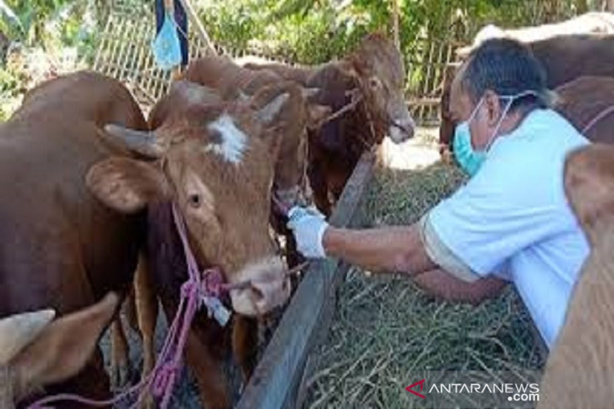 Kementan ajak pelaku usaha peternakan komitmen bangun kemitraan