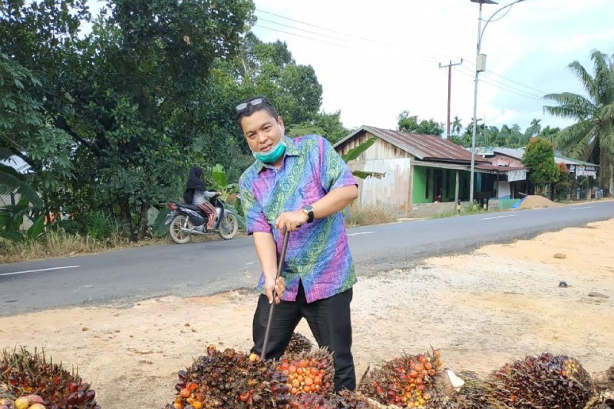 Harga sawit Riau naik Rp 55,91/Kg
