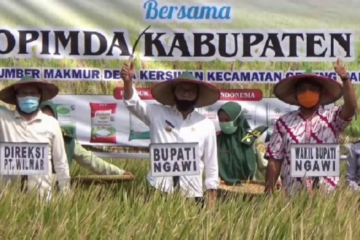 Ratusan hektare lahan pertanian di Ngawi beralih fungsi untuk pembangunan