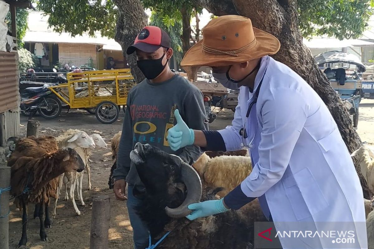 Petugas DKPP Kota Kediri temukan hewan kurban cacat dijual saat sidak