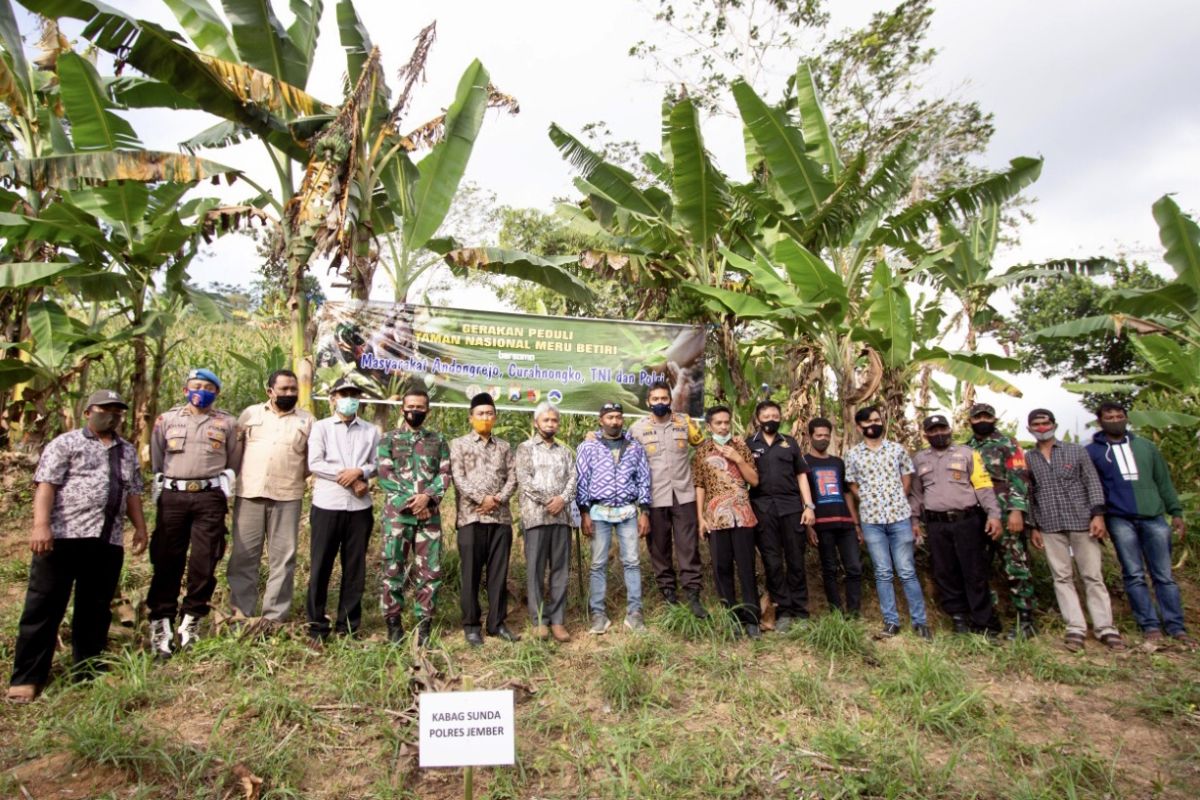 Local community of 10 villages involved in Meru Betiri conservation