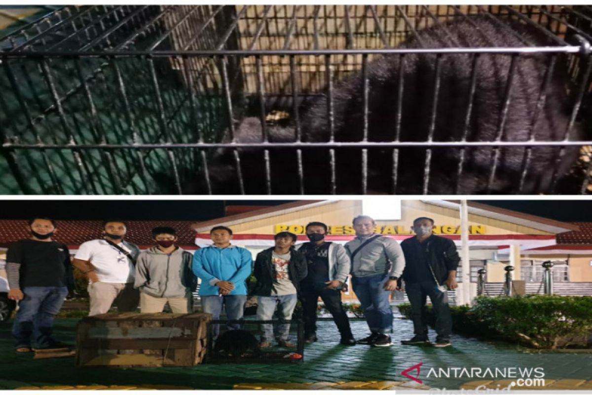 S Kalimantan Police uncover two cases of protected animal trade