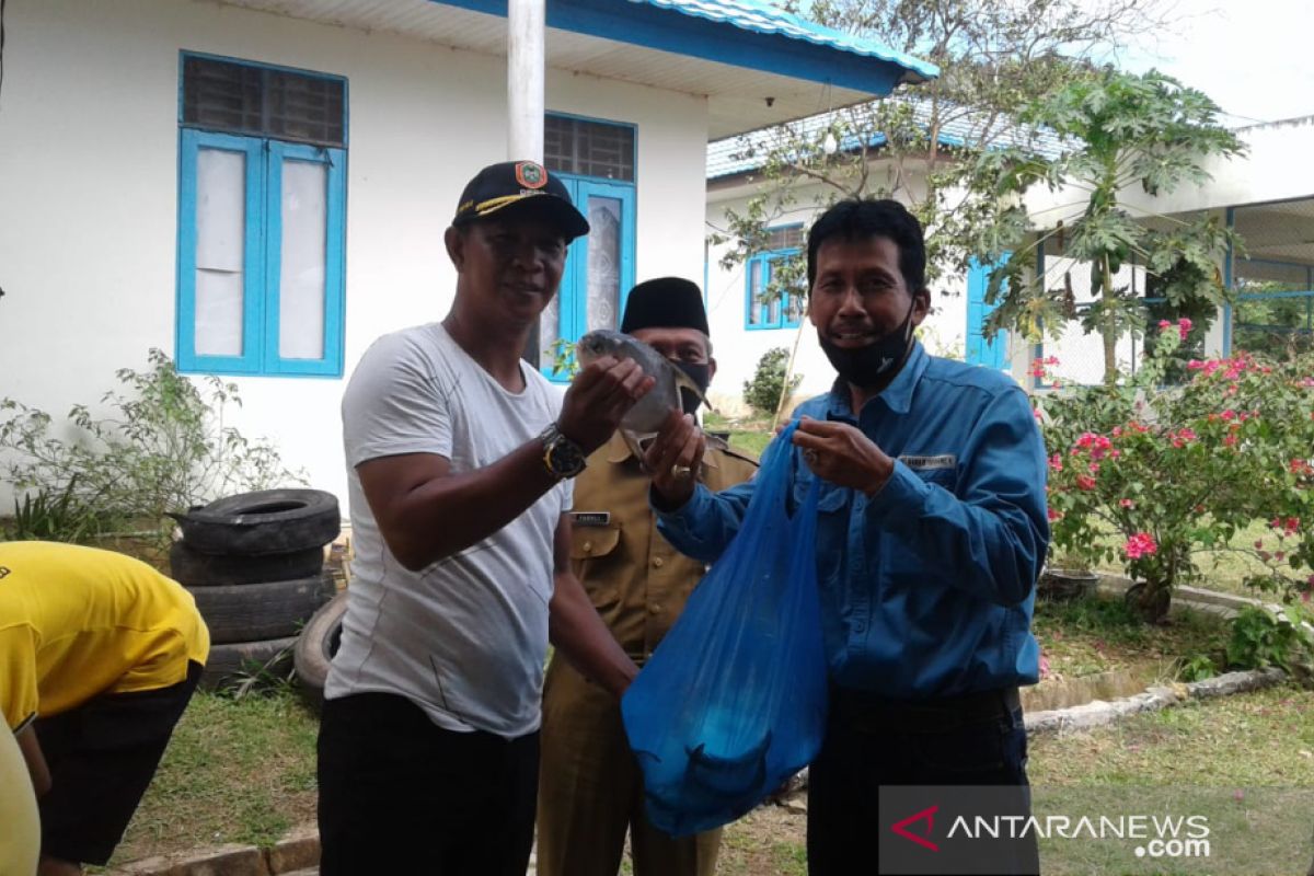 Panen perdana ikan peningkat imun selama covid-19 mendapat apresiasi