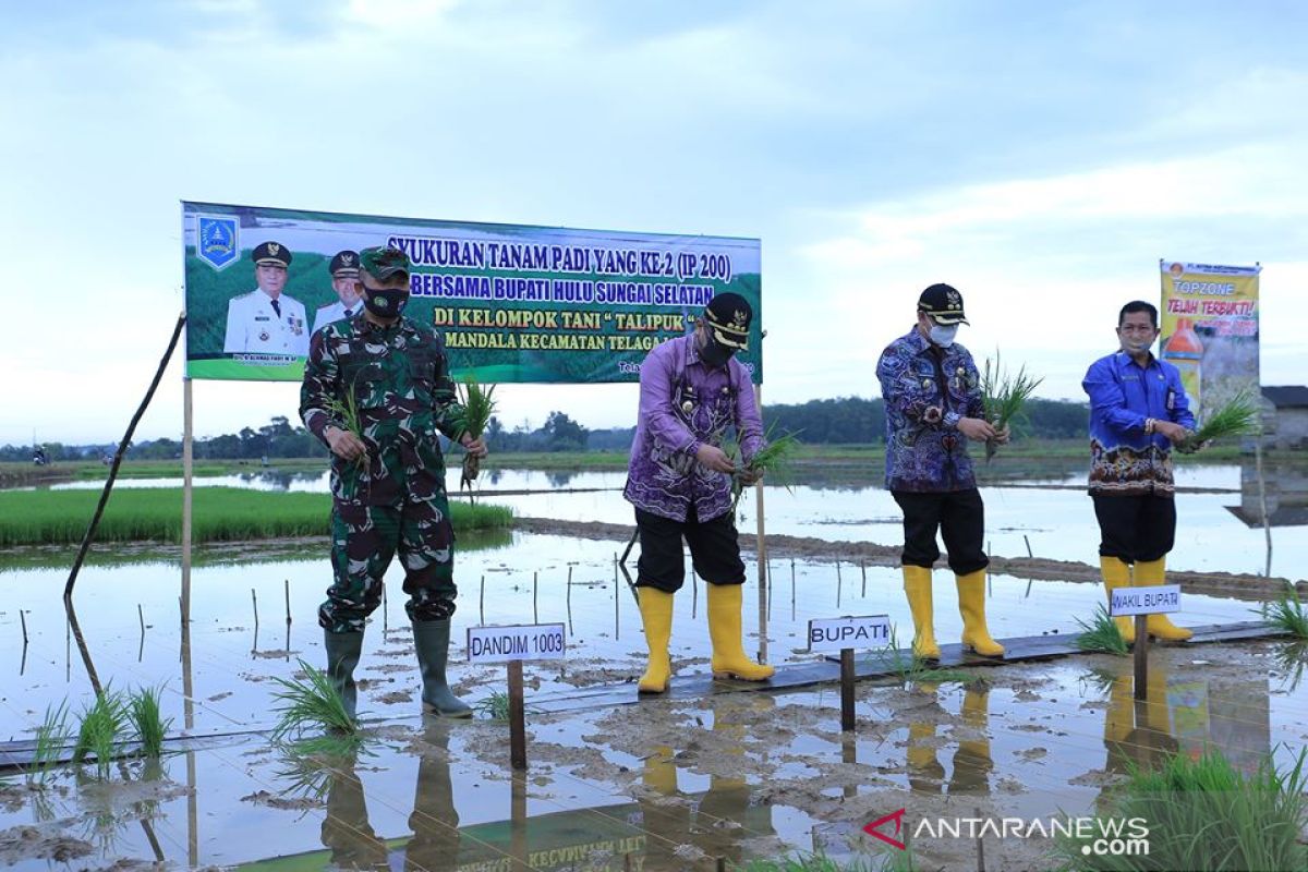 HSS targeted to plant 13,619 hectare rice to anticipate El Nino