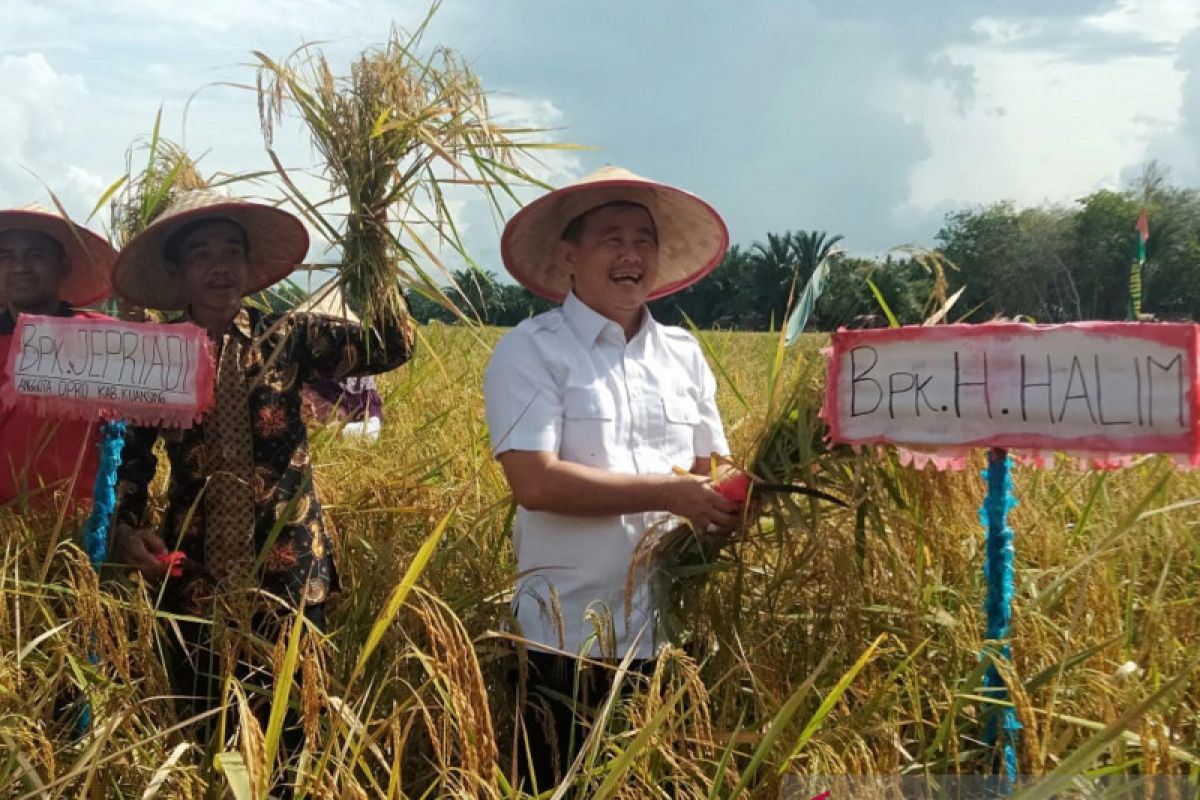 Wabup panen raya padi bersama masyarakat