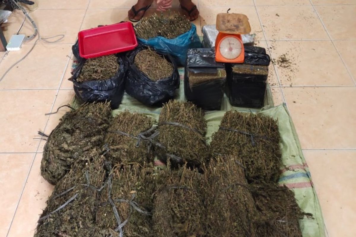 Penyeludupan ganja seberat 36 kilogram digagalkan polisi