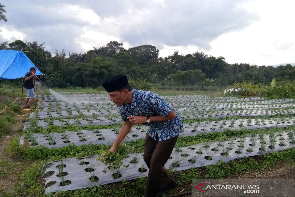 Kajari Tapsel luangkan waktu bertanam bawang merah