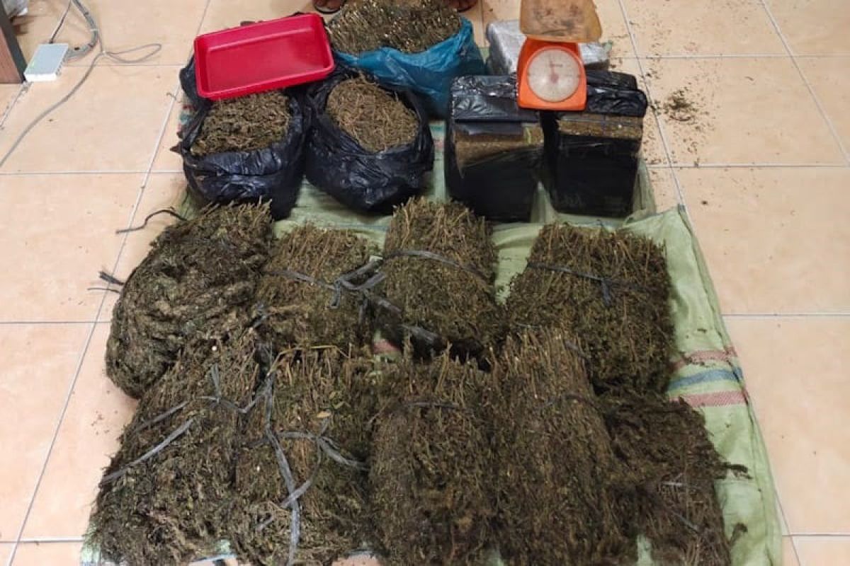 Bawa ganja enam kilo, sopir mobil penumpang ditangkap polisi