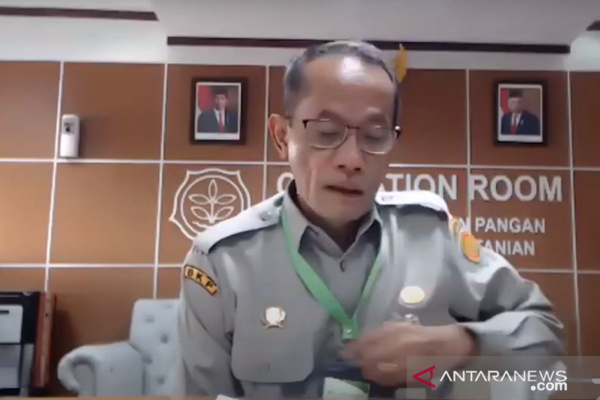 Kepala BKP identifikasi tantangan ketahanan pangan saat pandemi