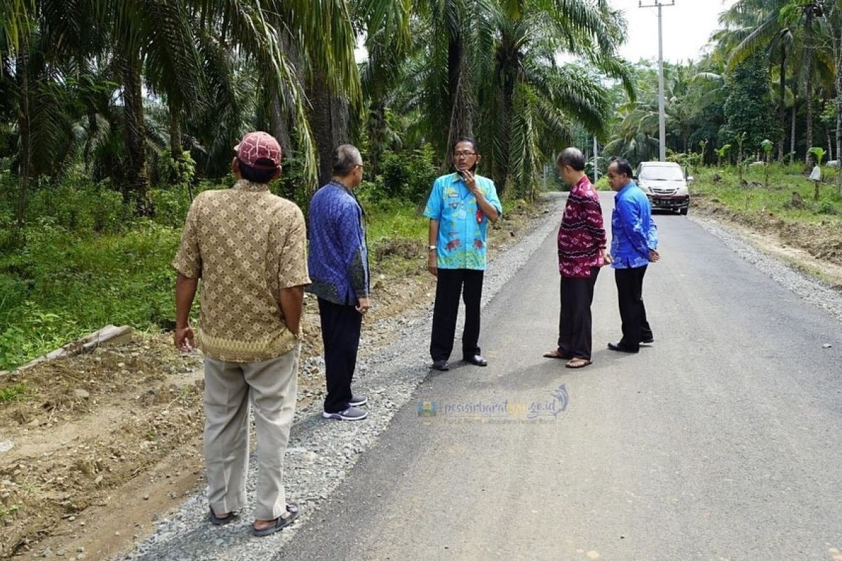Bupati Pesisir Barat tinjau pembangunan jalan di Kecamatan Pesisir Selatan